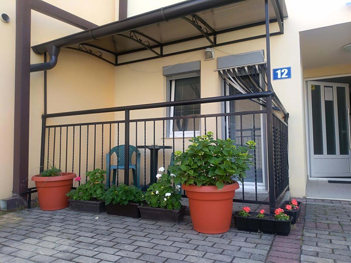 New Studio 70M To The Lake Ohrid Exterior photo